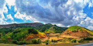 Gdzie można kupić nakładki na parapet?