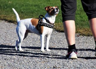 Jakie adidasy będą modne w 2023?