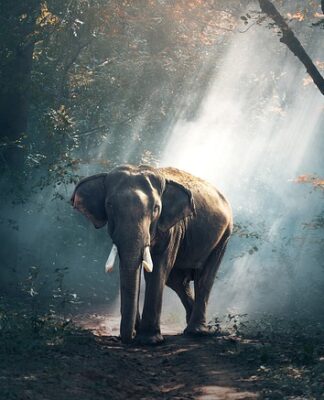 Ile można być w Tajlandii bez wizy?