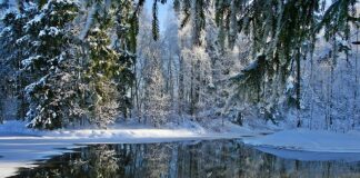 Czy meble rattanowe mogą stać na mrozie? Czy meble rattanowe mogą stać na mrozie?