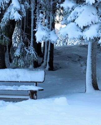 Jaka Ławeczka na początek?