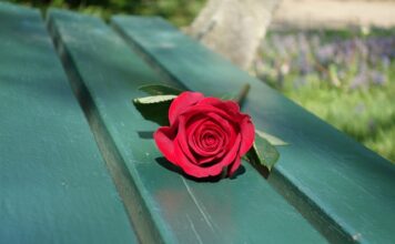 Z czego można zrobić ławkę?