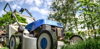 Na co zwracać uwagę przy zakupie kosiarki elektrycznej?