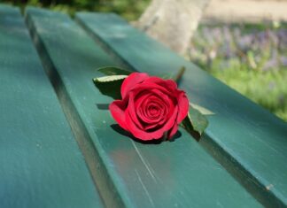 Czym obić ławkę ogrodową?