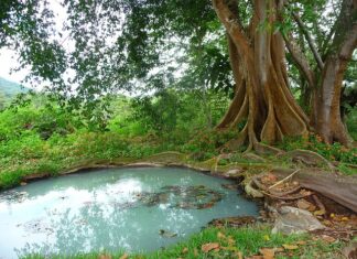 Czy można wykorzystać stare szambo na deszczówkę?