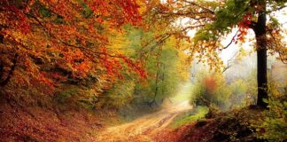 Jak obliczyć spadek ciśnienia?