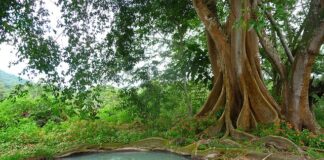 Czy trzeba zgłosić szambo do gminy?