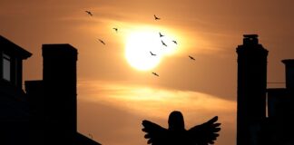 Dlaczego nie można budować domów z płaskim dachem? Dlaczego nie można budować domów z płaskim dachem?