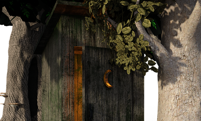 Dlaczego zapycha się kibel?