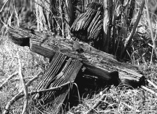 Czy czujka PIR działa przez szybę?